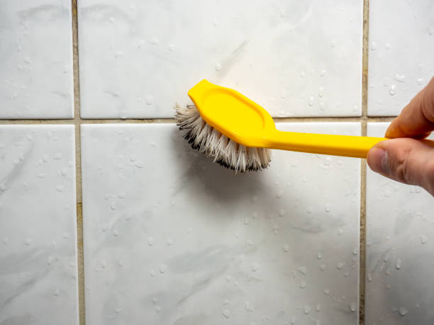 Mitchell, IL Mold Removal Company