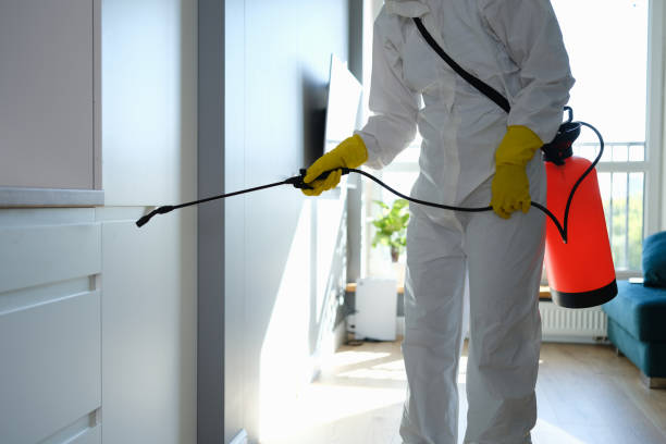 Best Emergency Mold Removal  in Mitchell, IL