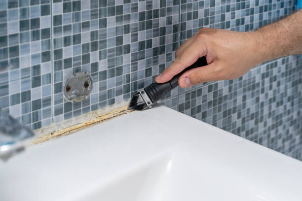 Best Mold Removal Company Near Me  in Mitchell, IL